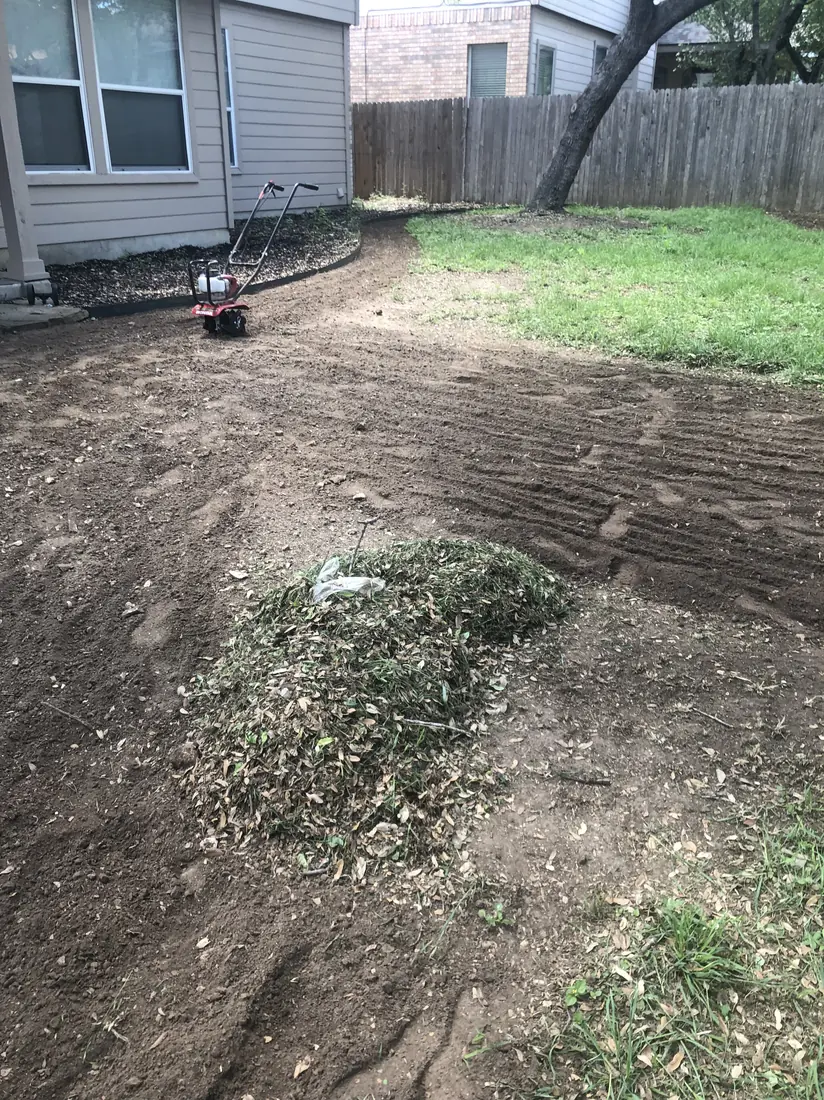 Backyard before cleanup in San Antonio