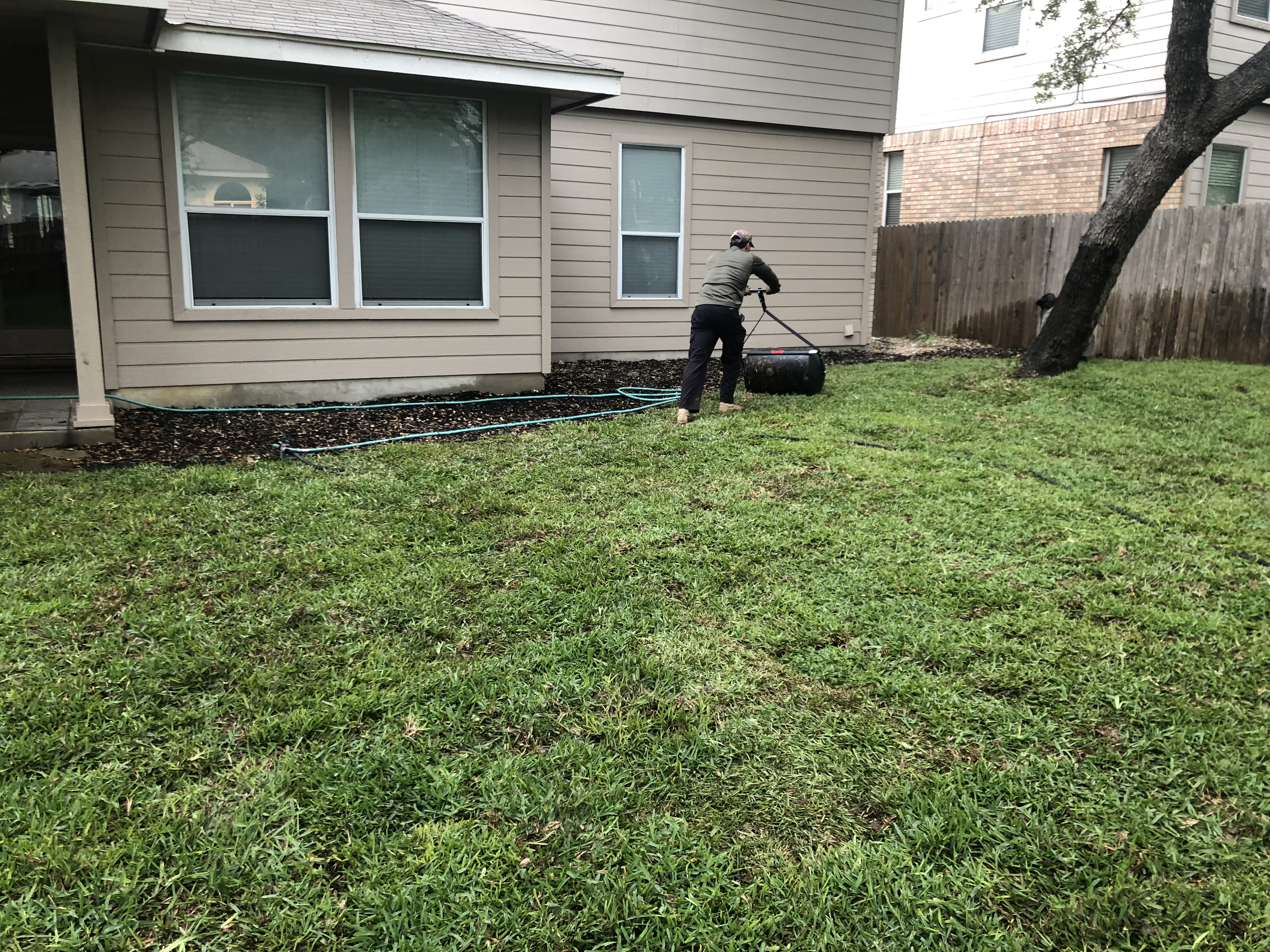 Backyard after