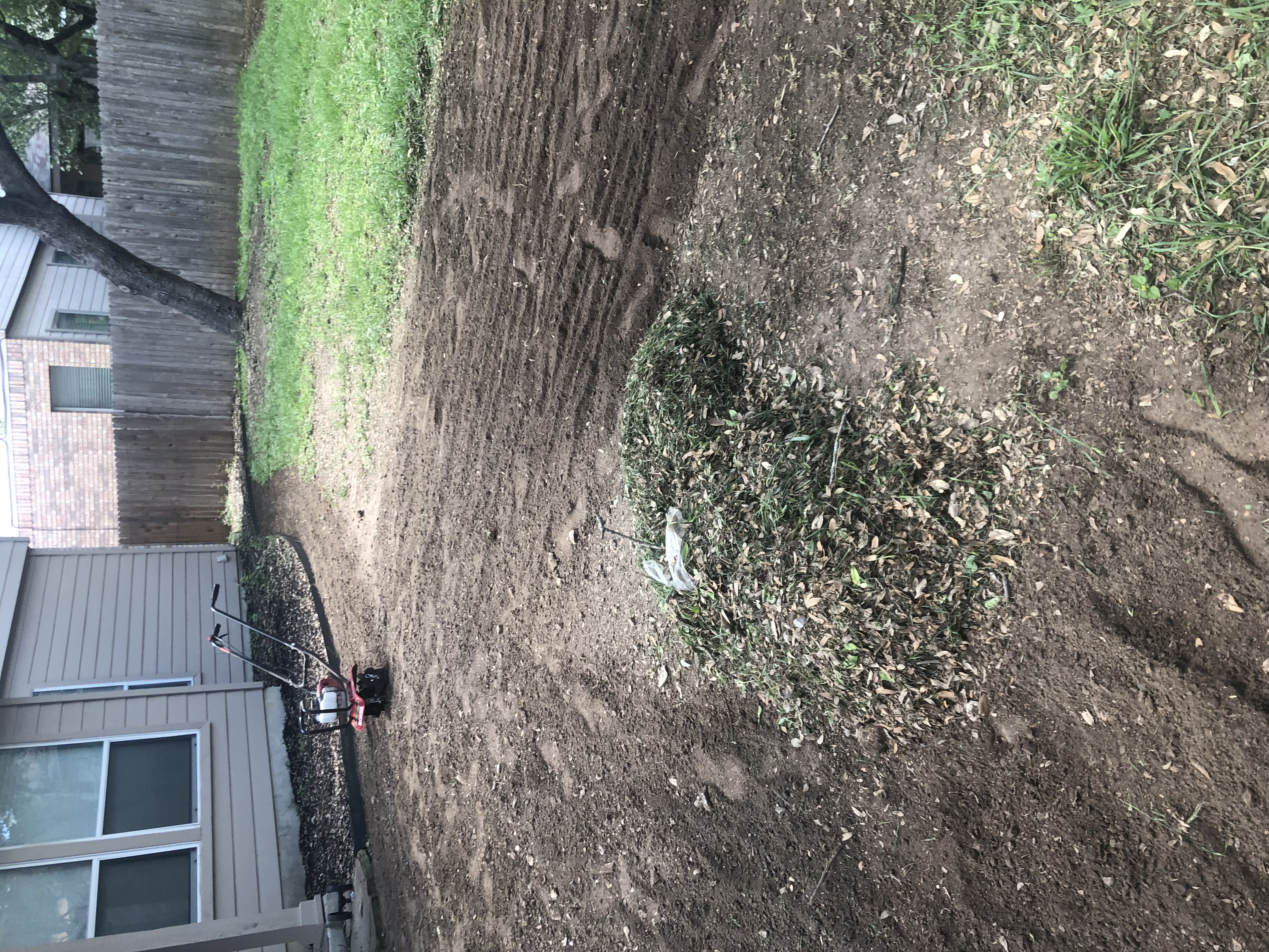 Backyard before
